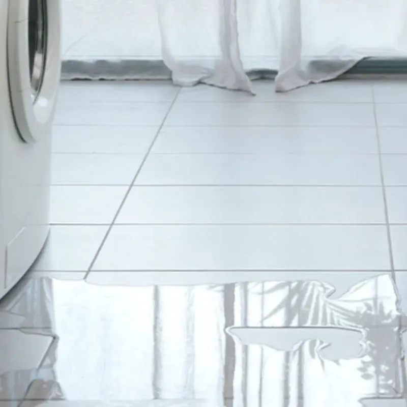 Appliance Leak Cleanup in Lexington, SC