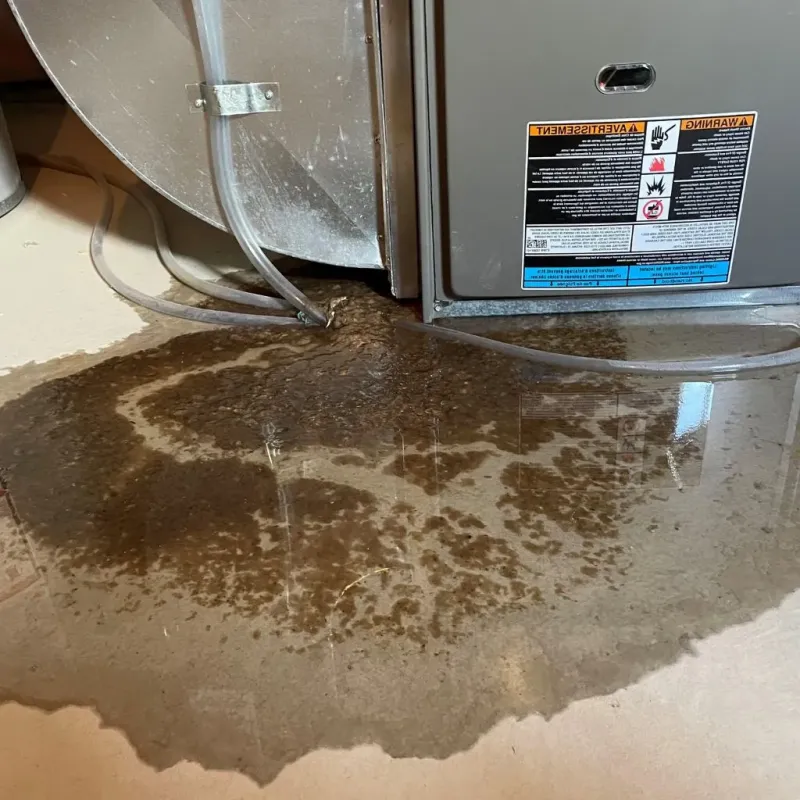 Pipe Burst and Leak Restoration in Lexington, SC